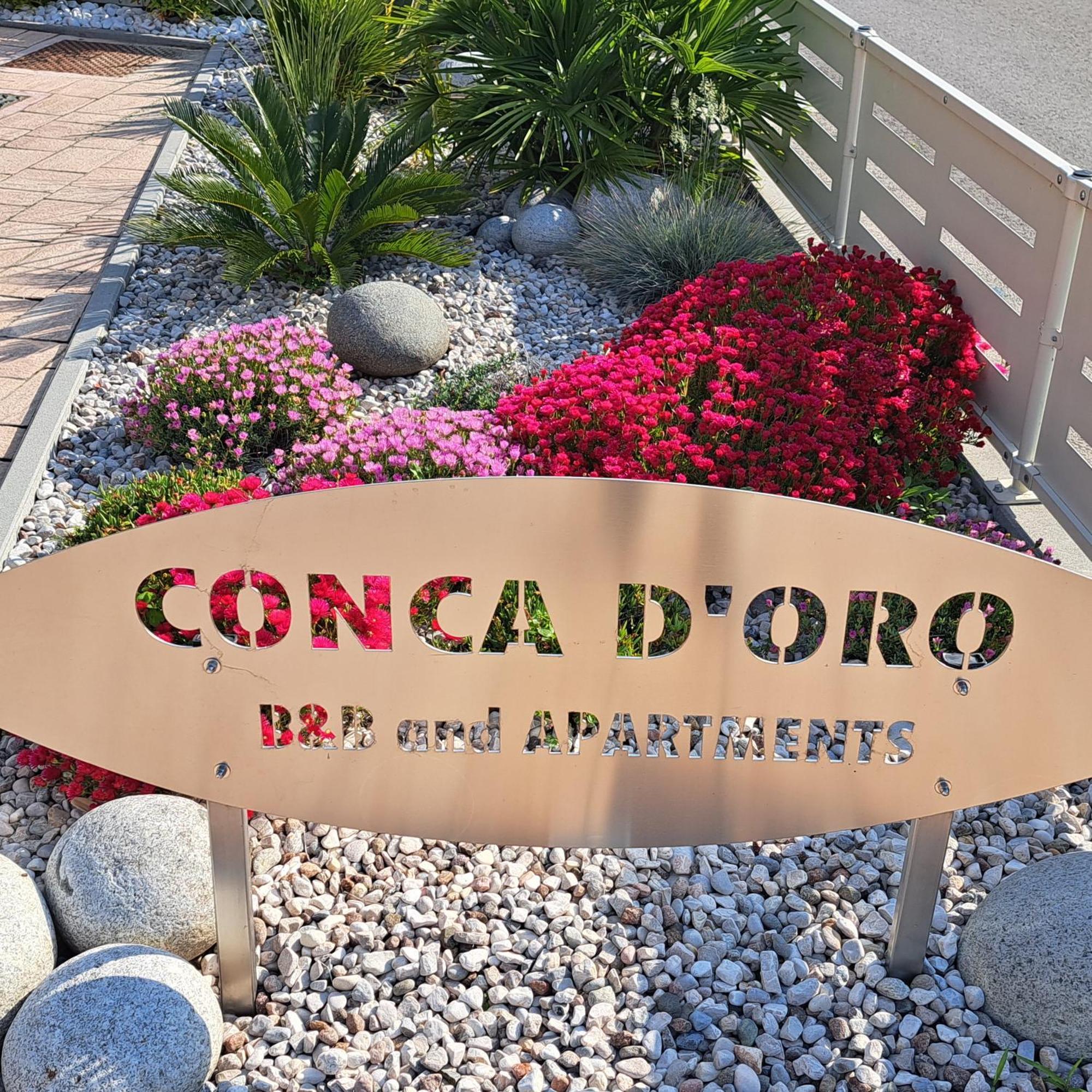 Conca D'Oro B&B And Apartments トルボレ エクステリア 写真